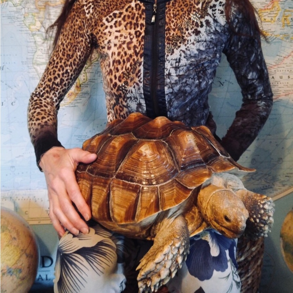 Proceeds benefit animal rescue efforts!  Tortoises, dogs, cats, parrots, ponies!
